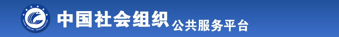 想被大JB艹全国社会组织信息查询